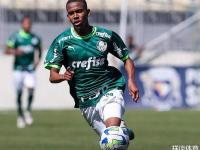 三亿体育体育直播-亚洲球员在南美联赛中大放异彩，声名大噪