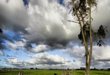 三亿体育体育链接-关于曼联主教练鼓舞球队斗志，全力以赴风风光光赢球的信息