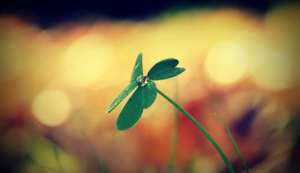 伯纳乌球场阵容大变风格转型难控制