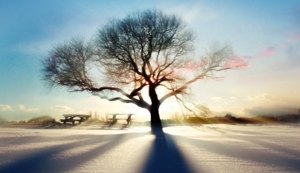 都灵主场击败罗马，豪取三分