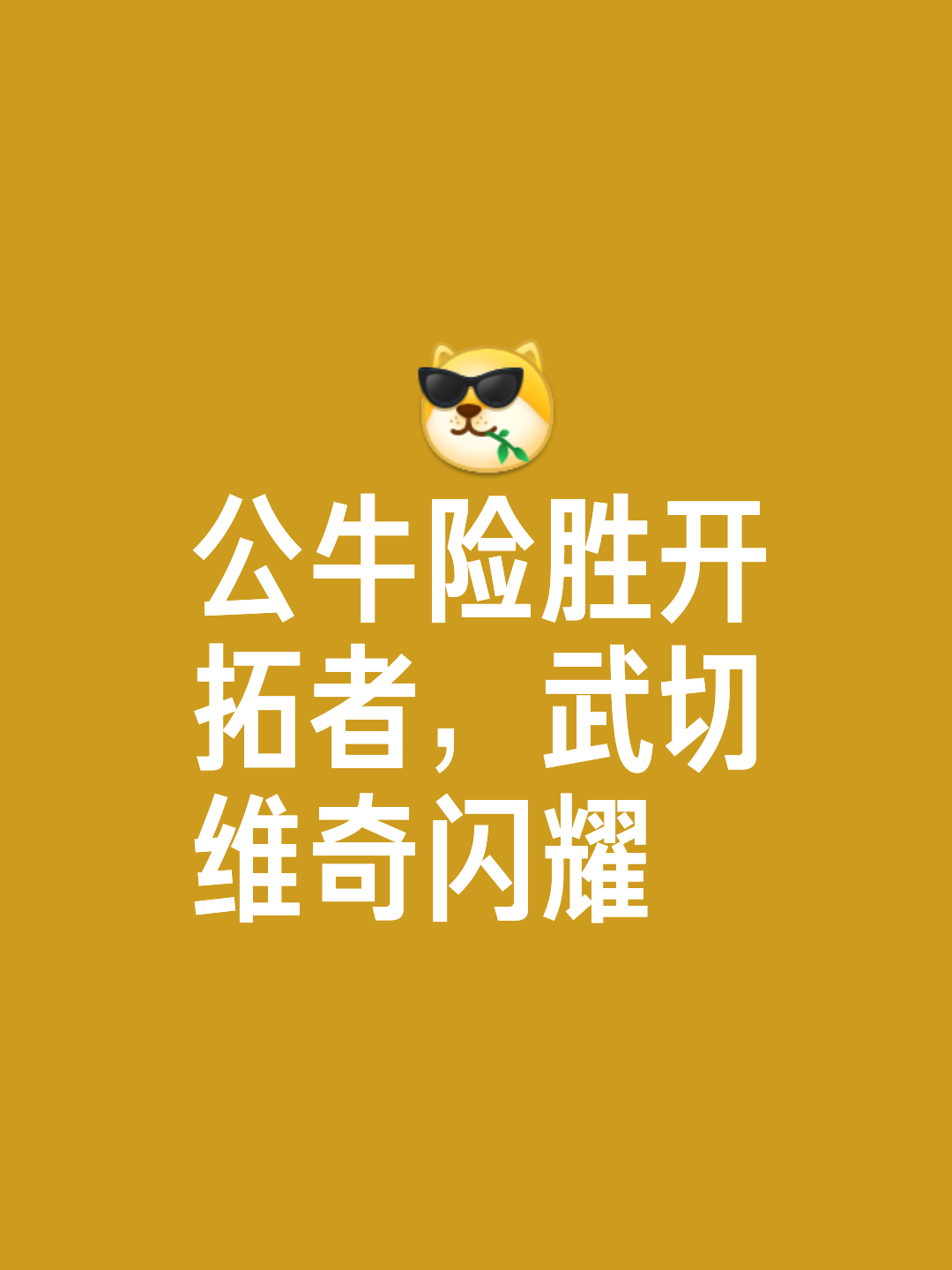 关于公牛奉献新王朝，主场不败创造新赛季历史的信息